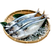 【愛上新鮮】任選999免運 南方澳大尾薄鹽鯖魚1包(500g±10%/隻/2隻/包)