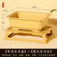 全城熱賣 - 梅花花盆樹脂長方形花盆家用花盆仿紫砂陶瓷多肉花盆塑膠花盆盆景秋香色【26 *21 *9】+塔式長方臺樹脂2個裝