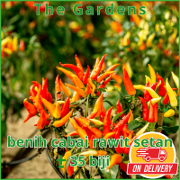 CABE RAWIT SETAN 35 biji / bibit / benih CABAI RAWIT SETAN - SUPER PEDAS ...!!! - BIBIT UNGGUL Daun