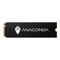 ANACOMDA 巨蟒 I2 512GB PCIe Gen3x4 NVMe SSD固態硬碟