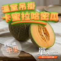 【GOZUII 果姬】苗栗卡蜜拉哈密瓜中果單顆禮盒(脆甜水梨口感｜焦糖尾韻｜2.2斤±10%/顆｜410項農藥未檢出)