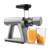 Honghao Luxury cold press Slow Juicer, Slow Masticating Juicer Machine,Easy to Clean, Quiet Motor &amp; Reverse Function