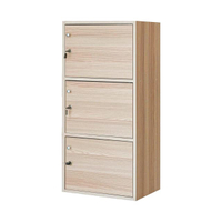 ตู้ล็อกเกอร์ 3 ชั้น  รุ่น 3DK ขนาด 42 x 29 x 87 ซม. สีไวท์เมเปิล