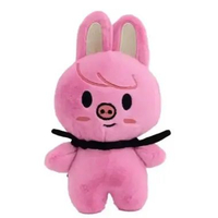 SKZOO Plush Hug Pillow Doll Fans Gift Teddy Style Plush Toy Seoul FM Week Cloak Doll Magic School Ki