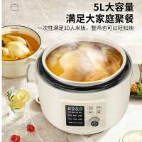 大宇電壓力鍋家用智能語音電飯煲鴛鴦膽三格膽火鍋多功能壓力