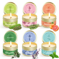 1pcs Big Scented Candles Three Core Oil Smokeless Soybean Wax Mosquito Repellent Fragrance Candle For Home Decorstion