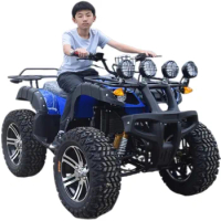 150cc and 250cc Big Bull ATV Vehicle Cheap Price for Sale