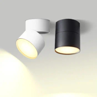 Downlights, ceiling lights, dimmable kitchen spotlights, indoor led lights, indoor lighting, living room hotel AC220V