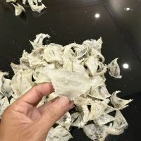 Sarang Burung Walet Sudut Super / kotor 15 Gram