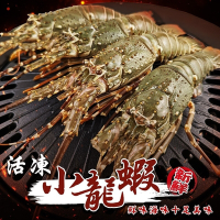 【海陸管家】活凍小龍蝦3尾(每尾100-150g)