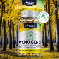 Kapsul Pslalae Pycnogenol 100mg, Proantosianidin Kulit Pain Pesisir Perancis Antioksidan dan Berkhas