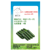 【蔬菜工坊】G51-1.綠櫛瓜種子(阿菲)