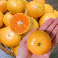 【水果達人】大顆特選23A古坑珍珠茂谷柑x1箱(10斤±10%/箱)_柑橘 甜橙
