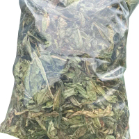 Trà bồ công anh hay còn gọi rau bồ cóc hay rau mũi cày
