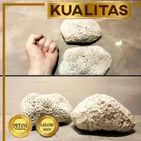 Karang Meteor Jumbo XL Batu Aquascape Hiasan Aquarium Ikan Hias Tawar dan Laut