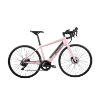 【DOSUN】電動輔助自行車/腳踏車 RT100 47CM 油壓碟 粉_送安裝(車麗屋)
