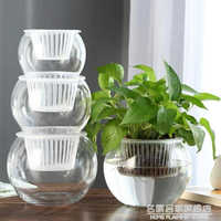 熱銷推薦-水培植物玻璃瓶透明玻璃花瓶容器綠蘿花盆圓球形魚缸水養小號器皿-青木鋪子