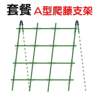 【珍愛頌】N454 套裝 A型單面 爬藤支架 爬藤網架 藤蔓支架 陽台棚架 爬藤架 花架 園藝支架 絲瓜爬藤架 包塑鋼管