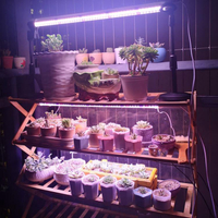 多肉補光燈LED植物生長燈光譜家用室內上色防徒長花卉仿太陽光