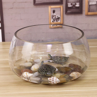 魚缸玻璃圓形辦公桌綠蘿水培家用小魚創意透明小型迷你桌面烏龜缸