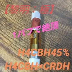 H4CBH25%リキッド1ml　H4CBH×CRDH h4cbhの価格比較なら-2025年9月 | BigGo日本