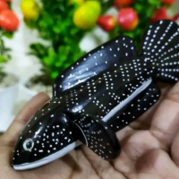 patung asiatica single tank