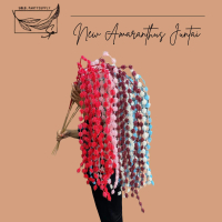 HANGING NEW AMARANTHUS ARTIFICIAL BUNGA JUNTAI DEKORASI WEDDING JUNTAI AMARANTHUS IMPORT