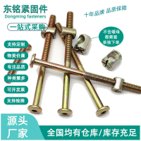 2025 Color Zinc Chamfered Hex Socket Furniture Screws M6 M8 Flat Head Beveled Hex Socket Furniture S
