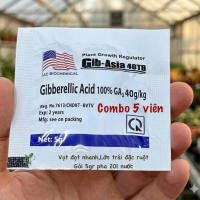 5 Viên Sủi Bật Chồi Cực Mạnh GA3 50TB Kích Thích Và Điều Hòa Sinh Trưởng,Xuất Xứ Mỹ