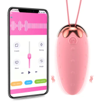 APP Remote 10 Speeds Bullet Vibrator Clitoris Stimulator Panties Vibrating Egg Vagina Massage Sex Toys For Women Masturbator