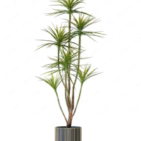 Green Plant Bonsai Fake Trees Ponytail Iron Plant Bonsai Living Room Floor Decoration Ornaments Silent Wind