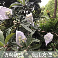 葡萄袋火龍果柚子無花果芒果釋迦果石榴套袋防鳥防蟲專用水果網袋