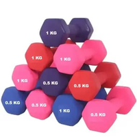 Dumbell Barbel Warna Warni Untuk Gym Rumahan dan Yoga Tahan Banting 0.5 Kg Biru