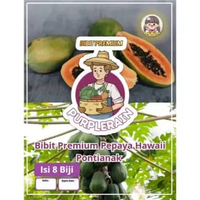 Bibit Premium Pepaya Hawai Pontianak|Biji Benih Pepaya Hawai Pontianak