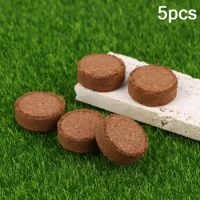 5Pcs Compressed Coco Coir Fiber Potting Soil Coir Medium Coconut Soil Coir Bricks For Indoors Or Outdoors Bonsai Herbs Supplies