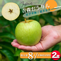 【果樹寶石】日本青森王林蘋果特大果8顆x2盒（2.9KG±10%/盒）（350G±5%/顆）(細膩多汁、高甜近乎零酸)