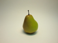 《食物模型》山東梨 水果模型 - B1050