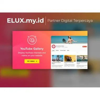 Youtube Plugin Wordpress Gallery Original Unlimited Domain Lifetime Tanpa Update