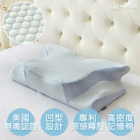 【格蕾寢飾】法國Casa Belle皇室の夢枕_3D護頸人體工學紓壓涼感記憶枕(1入)