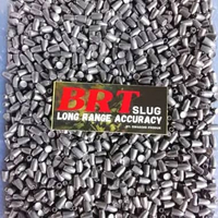 brt slug 12 grain