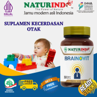 BRAINOVIT Hebal Naturindo Suplemen Otak Dan Nutrisi Anak Vitamin Obat Daya Ingat Anak Dan Dewasa Day