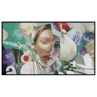 DS-D6043UN-DL 43吋 4K 60Hz 顯示器