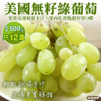 【WANG 蔬果】美國綠寶石麝香無籽葡萄(10盒_500g/盒)