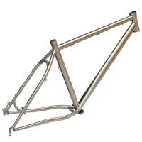 Titanium fat/road bike frame