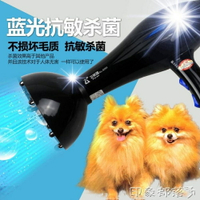 寵物專用吹水機吹風機大功率靜音狗狗金毛泰迪長毛大型犬電吹風機  可開發票 母親節禮物