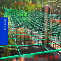 ♘植物爬藤網菜園陽臺絲瓜種植網格豇豆黃瓜戶外百香果種菜攀爬支架