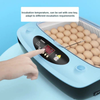 9-36 Egg Incubator Automatic Household Smart Chick Incubator Small and Medium-sized Goose Chicken Quail Incubator Egg Incubator