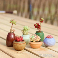 多肉花盆花器 做舊冰裂  控型 景德鎮 6個一套 拇指盆 名創家居館