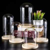 Figure Glass Display Box Immortal Flower Glass Cover Display Cloche Dome With Solid Wood Base Office Home Table Top Decoration