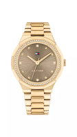 Tommy Hilfiger Watches Tommy Hilfiger Piper Gold Stainless Steel